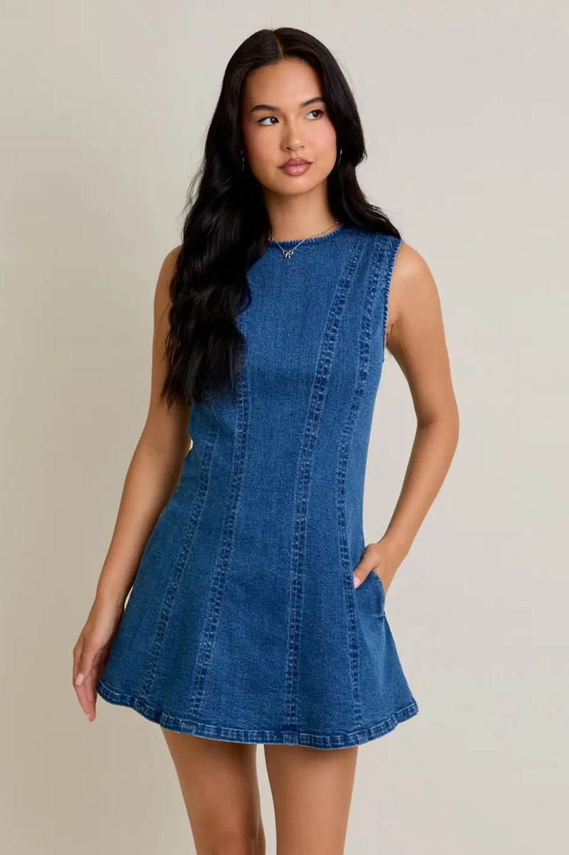 Taylor Sleeveless Denim Mini Dress