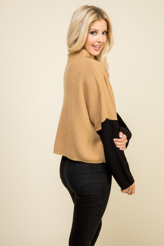 Fall For You Taupe Colorblock Sweater - SALE